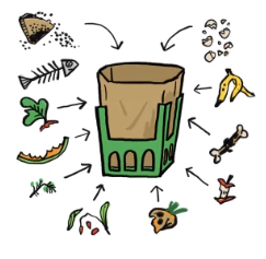 Myndin sýnir það sem má fara í lífærnu tunnuna og minnir okkur á mikilvægi flokkunar. 