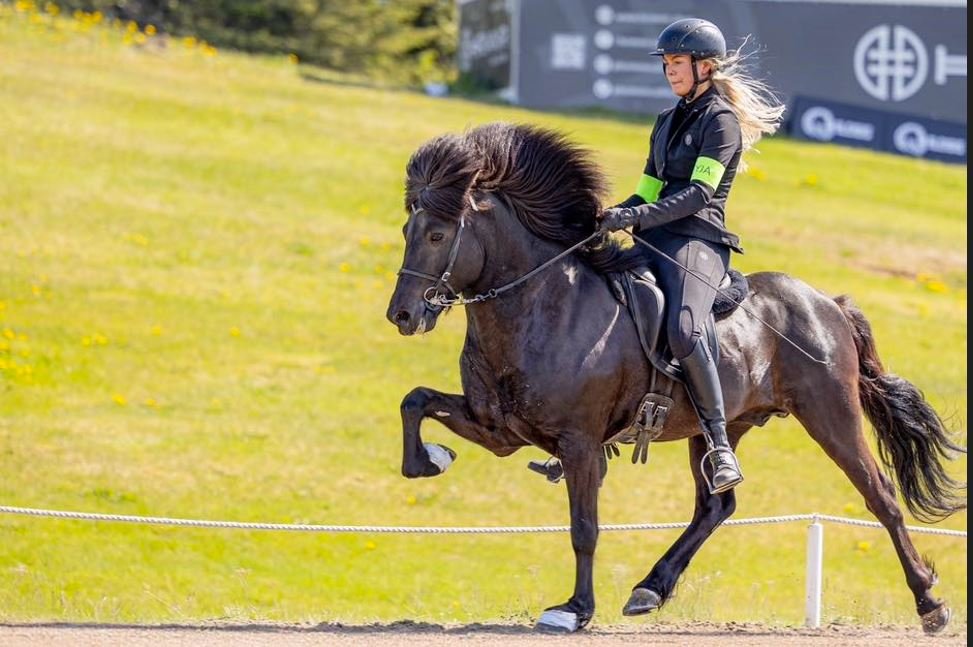 Þórey Þula á Kjalari frá Hvammi 1. 